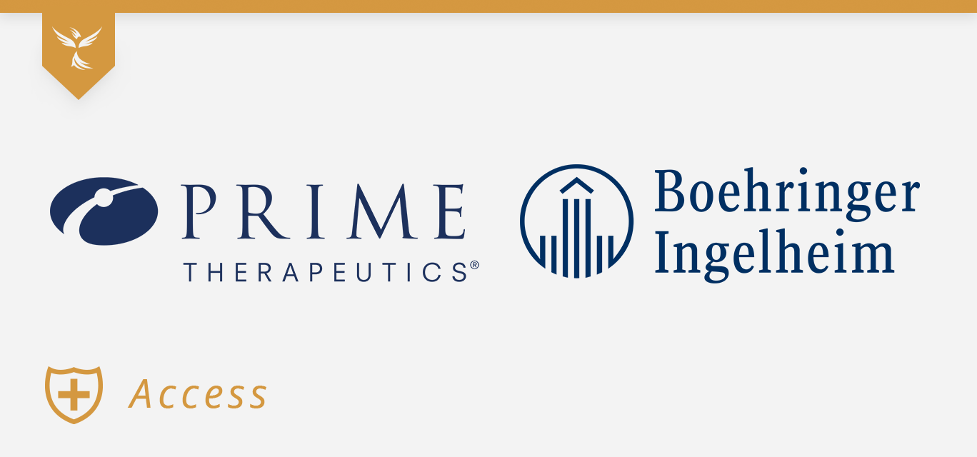 prime and BI cover image