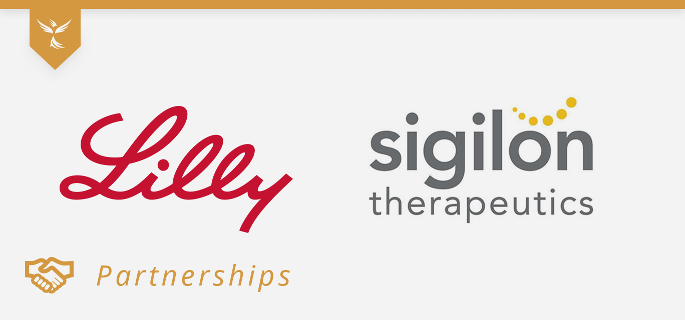 lilly and sigilon cover image