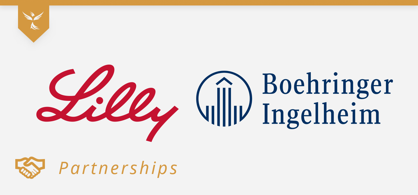 lilly and BI cover image